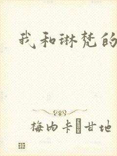 我和琳梵的故事