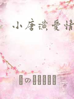 小唐璜爱情历史