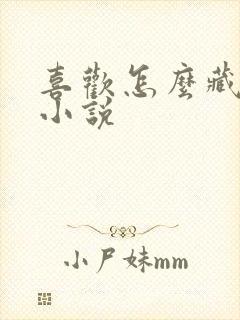 喜欢怎么藏不住小说