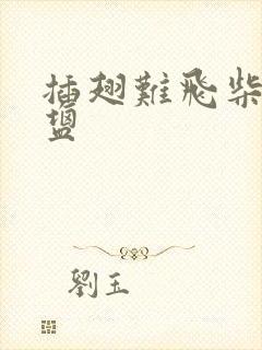 插翅难飞柴米油盐