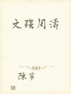 文强周涛