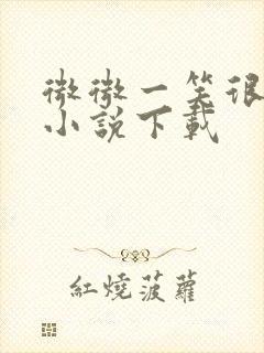 微微一笑很倾城小说下载