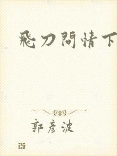 飞刀问情下载