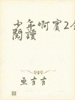 少年啊宾2全文阅读