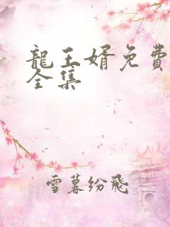 龙王婿免费完结全集