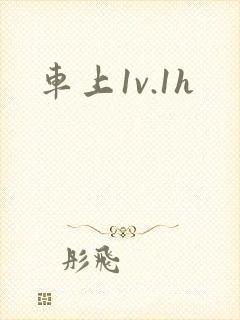 车上1v.1h