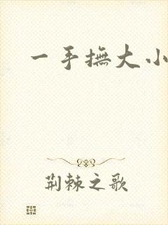 一手抚大小说