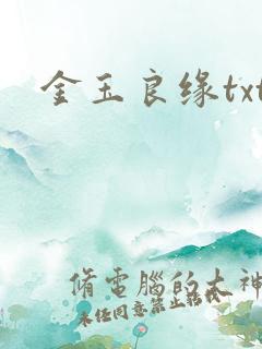 金玉良缘txt