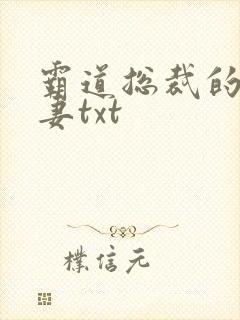 霸道总裁的挂名妻txt