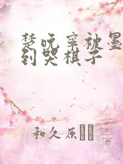 楚晚宁被墨燃做到哭棋子