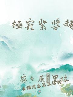 极宠紫酱超人