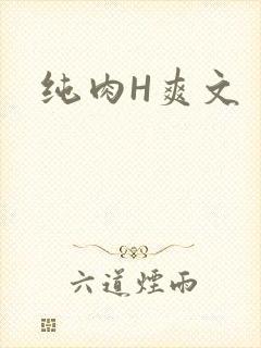 纯肉H爽文