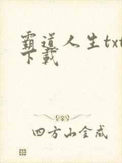 霸道人生txt下载