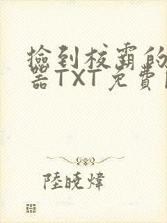 捡到校霸的遥控器TXT免费阅读