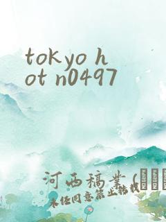 tokyo hot n0497
