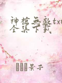 神枪无敌txt全集下载