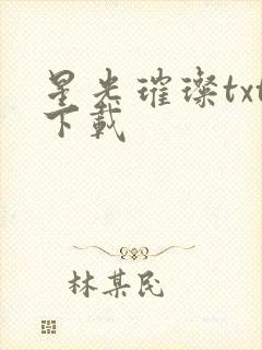 星光璀璨txt下载