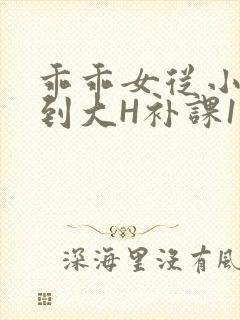 乖乖女从小被C到大H补课1视频