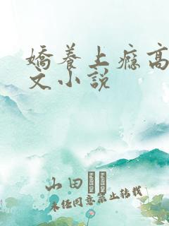 娇养上瘾高H爽文小说