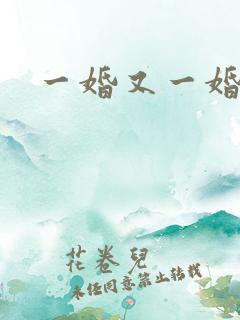 一婚又一婚