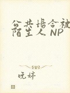 公共场合被各种陌生人 NP