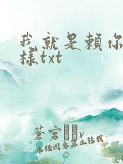我就是赖你 怎样txt