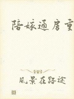 陪嫁通房重生记