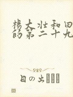 杨大壮和田桂花的第二十九