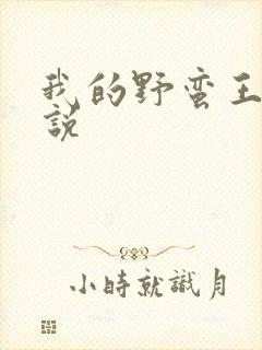 我的野蛮王妃小说