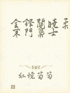 金锋关晓柔小说寒门枭士