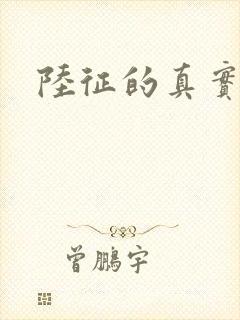 陆征的真实身份