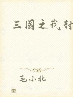 三国之我封天下