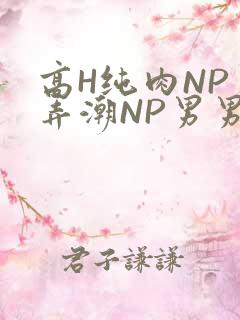 高H纯肉NP 弄潮NP男男