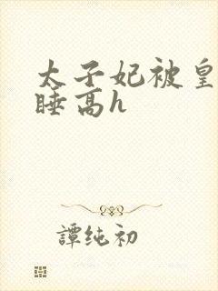 太子妃被皇上强睡高h