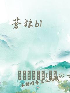 苍狼bl