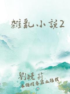 杂乱小说2