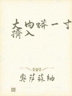 大肉蟒一寸一寸挤入