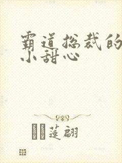 霸道总裁的宠爱小甜心