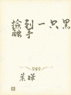 捡到一只黑心小触手