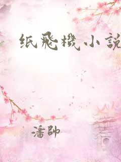 纸飞机小说
