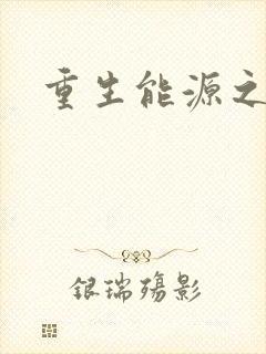 重生能源之王
