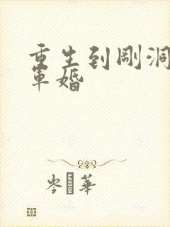 重生到刚洞房的军婚