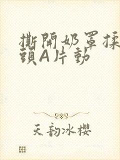 撕开奶罩揉吮奶头A片动