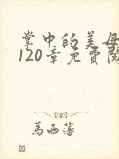 掌中的美母版主120章免费阅读