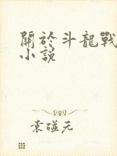 关于斗龙战士的小说