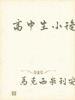 高中生小后妈