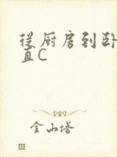 从厨房到卧室一直C