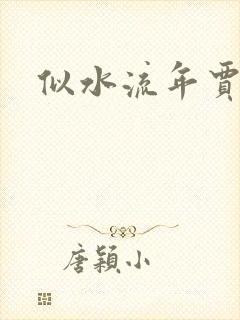 似水流年贾二虎