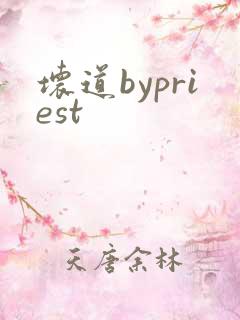 坏道bypriest