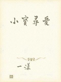 小宝寻爱
